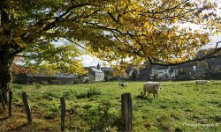 La démocratie au travail : la sauvegarde de notre modèle agricole