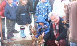 Nos écoles se mobilisent pour la biodiversité !