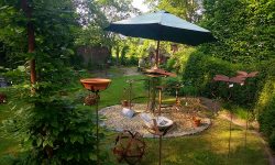 Week-end des Parcs et Jardins de Wallonie : plus de 100 lieux à découvrir