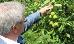 La Wallonie aux côtés de ses producteurs de fruits !