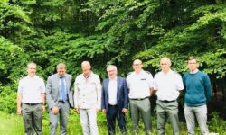 Saint-Michel-Freyr : une gestion différenciée de la forêt