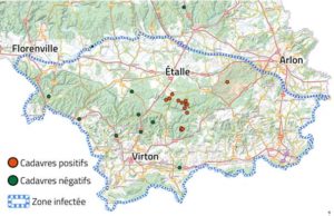 image006