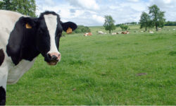 La réforme du Bail à ferme au Parlement