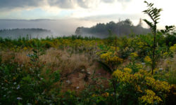 Soyez acteurs “Nature et Biodiversité”